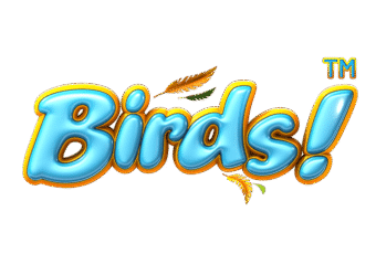 Slot Birds Online